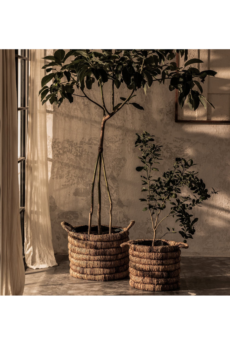 Abaca Basket With Handle Set (2) | dBodhi Caterpillar Sago | Woodfurniture.com