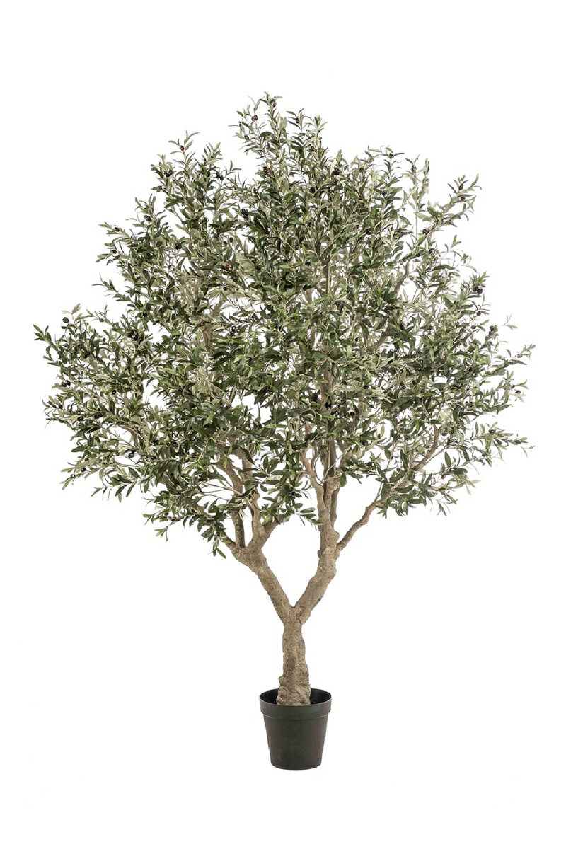 Faux Mediterranean Evergreen Tree | Emerald Olive | Woodfurniture.com