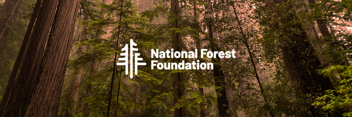 The National Forest Foundation & Wood Furniture