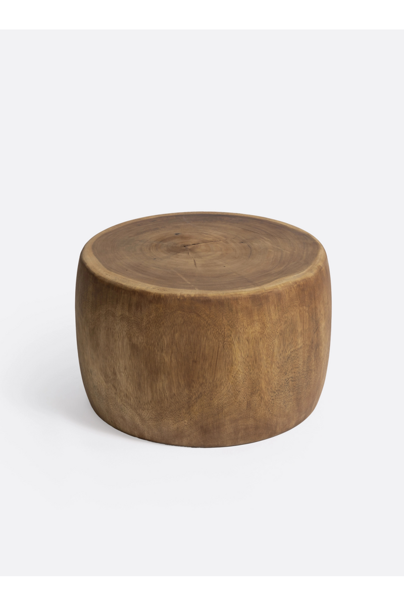 Oval Suar Wood Side Table | Dareels | Woodfurniture.com