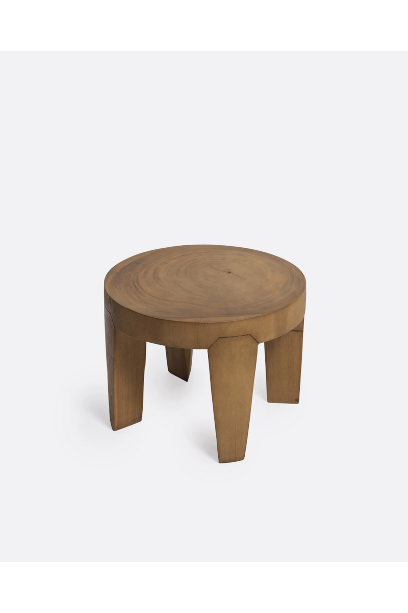 Solid Suar Wood Side Table | Dareels Rivia | Oroatrade.com