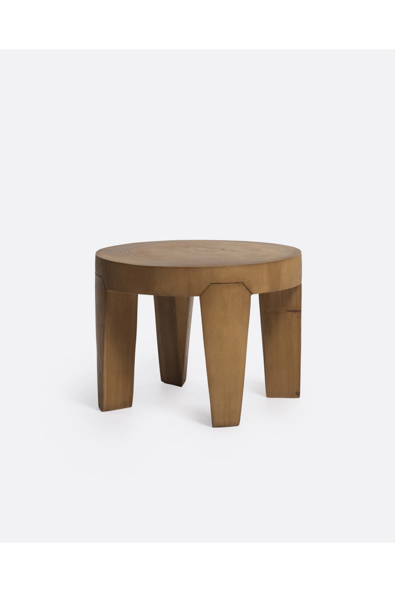 Solid Suar Wood Side Table | Dareels Rivia | Oroatrade.com