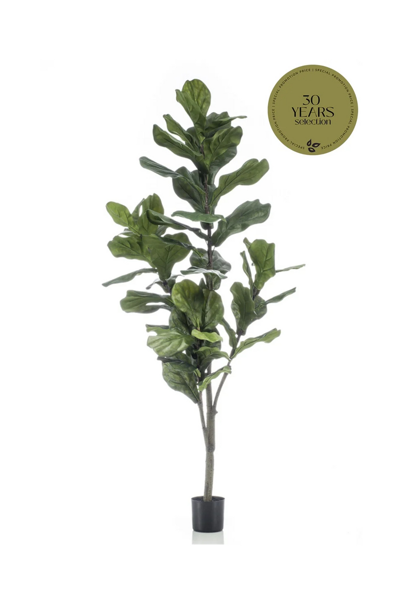 Artificial Fiddle Leaf Plants (2) M | Emerald Ficus Lyrata | Woodfurniture.com