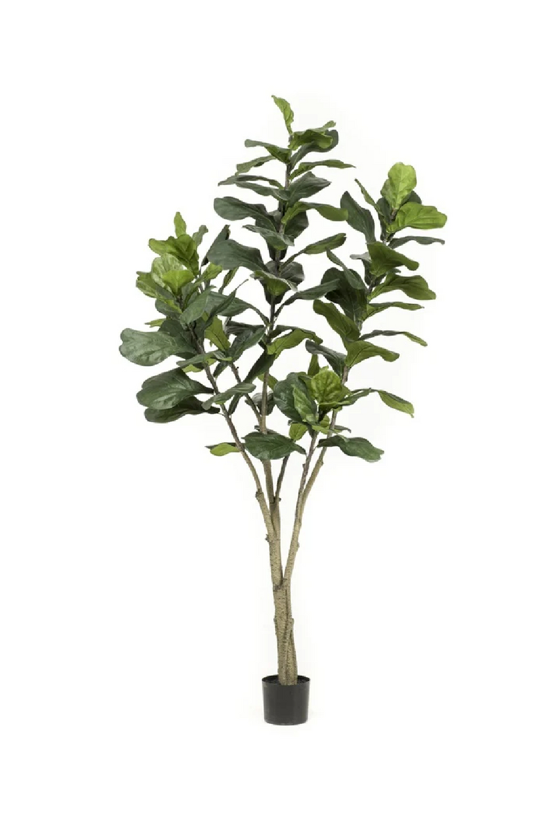 Artificial Fiddle Leaf Plants (2) XL | Emerald Ficus Lyrata | Woodfurniture.com