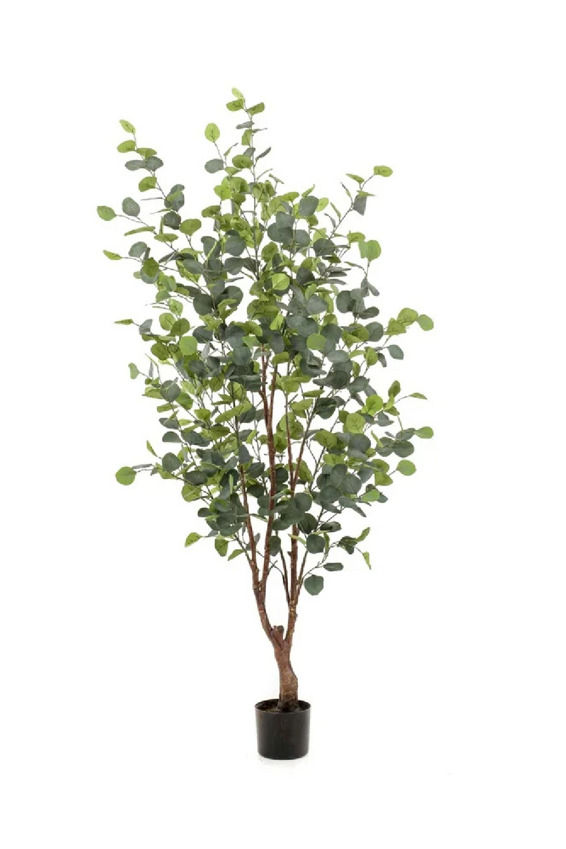 Potted Artificial Tree Set (4) M | Emerald Eucalyptus | Woodfurniture.com