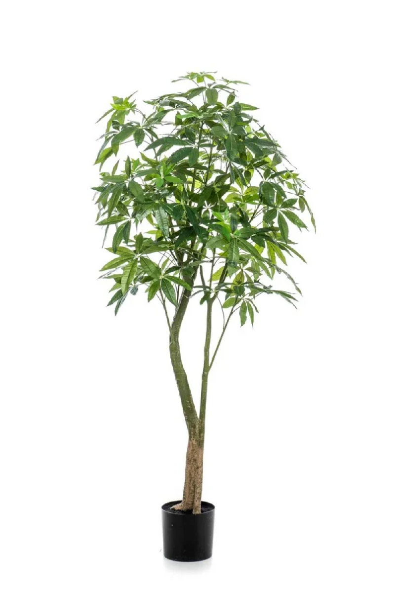 Artificial Money Trees - M (2) | Emerald Pachira | Woodfurniture.com