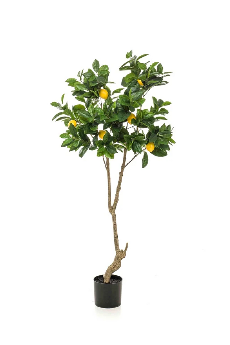 Potted Faux Fruit Trees (2) | Emerald Lemon | Woodfurniture.com