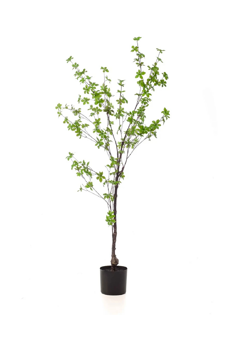 Green Herbaceous Faux Trees (2) S | Emerald Tropaeolum Speciosum | Woodfurniture.com