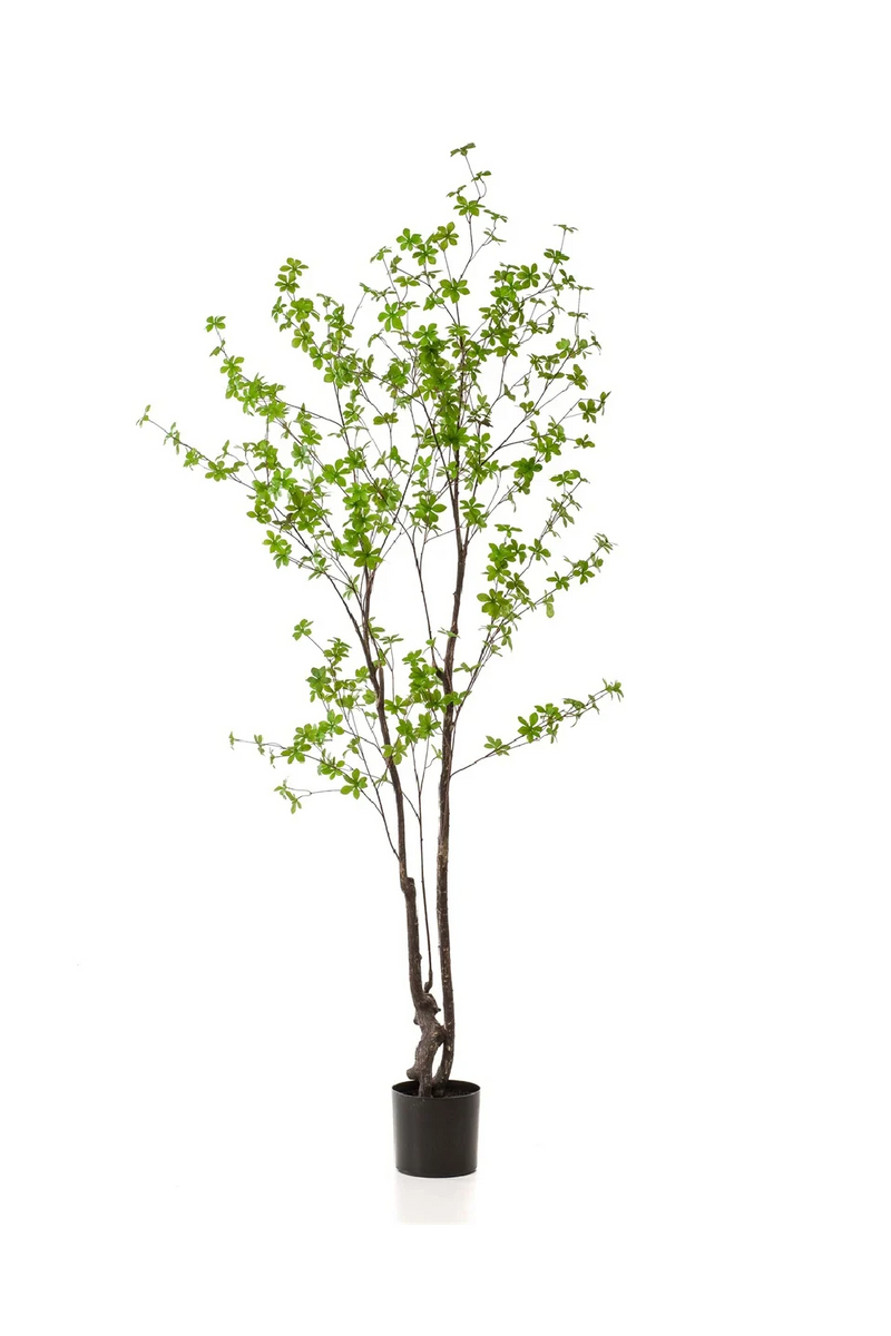 Green Herbaceous Faux Trees (2) M | Emerald Tropaeolum Speciosum | Woodfurniture.com