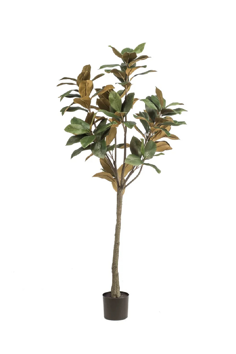 Potted Green Artificial Trees (4) S | Emerald Magnolia Denudata | Woodfurniture.com