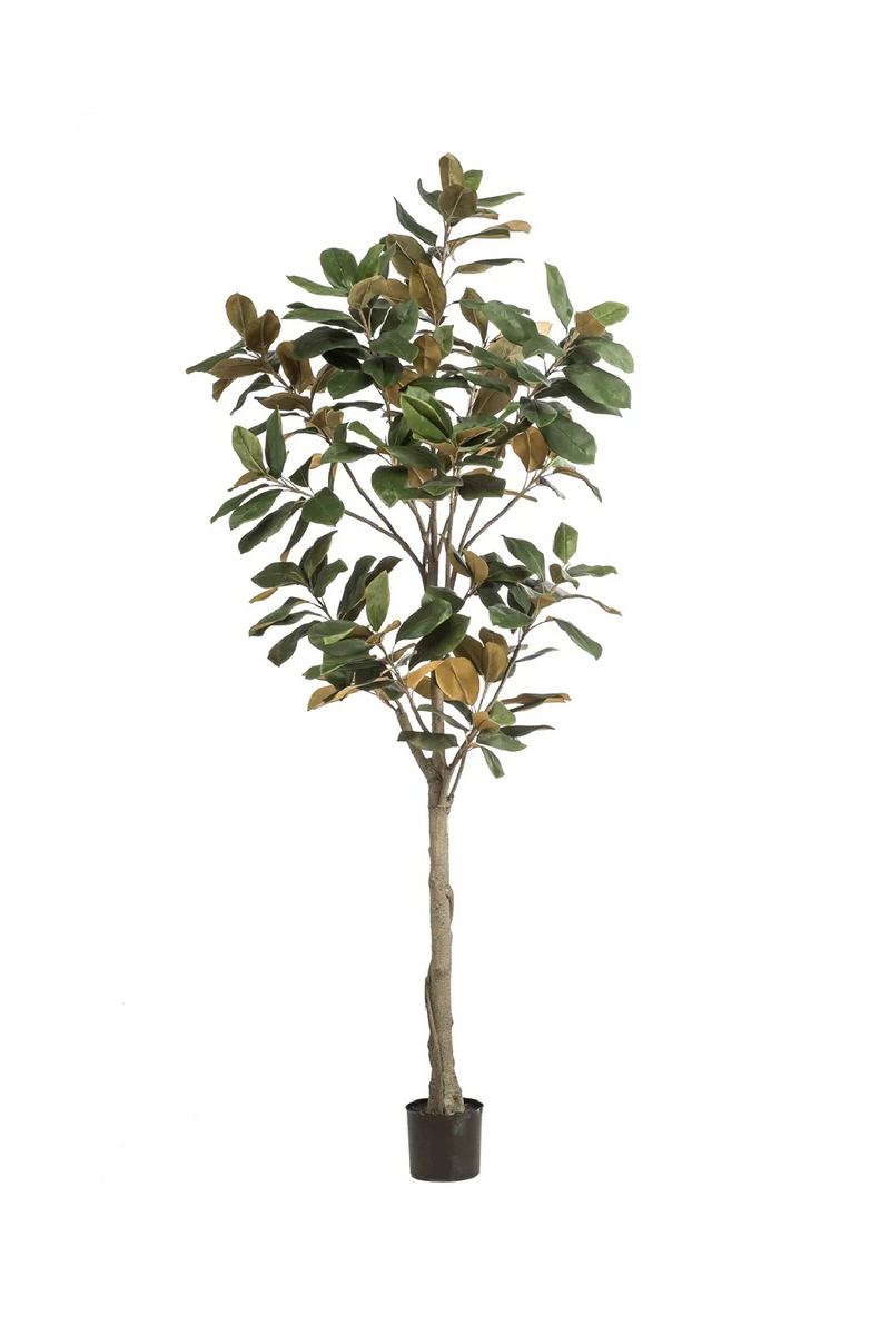 Potted Green Artificial Trees (2) L | Emerald Magnolia Denudata | Woodfurniture.com