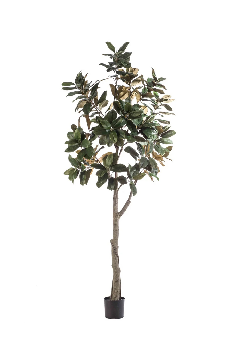 Potted Green Artificial Trees (2) XL | Emerald Magnolia Denudata | Woodfurniture.com