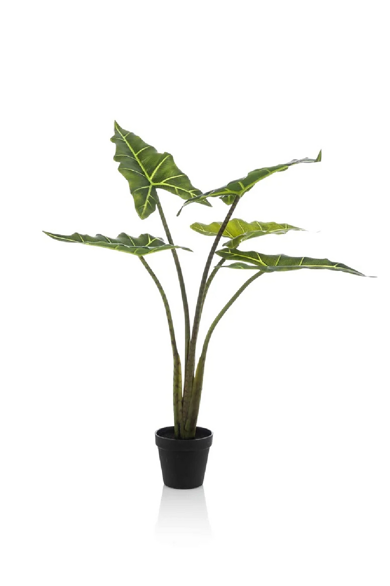 Arrow-Shaped Leaves Faux Houseplants (2) S | Emerald Alocasia | Woodfurniture.com