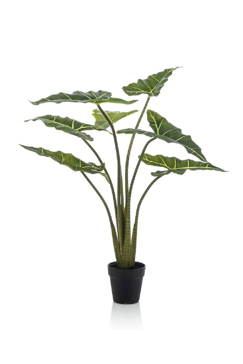 Arrow-Shaped Leaves Faux Houseplants (2) M | Emerald Alocasia | Woodfurniture.com