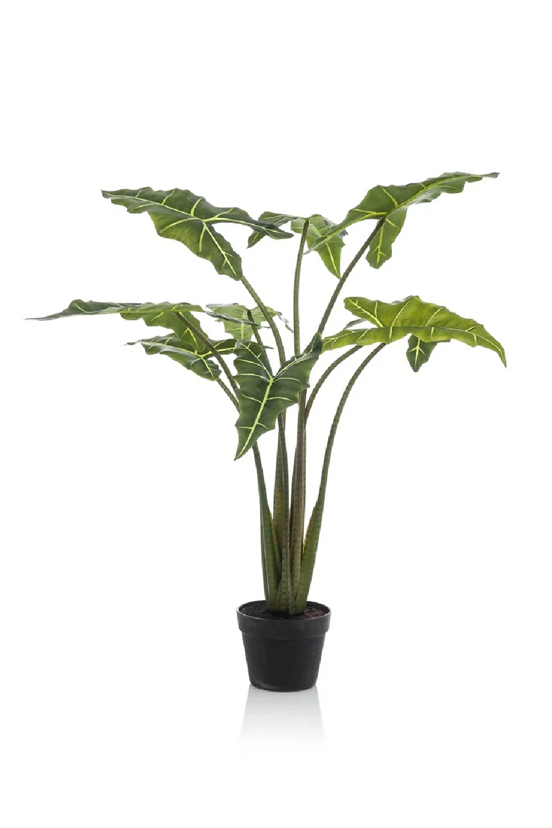 Arrow-Shaped Leaves Faux Houseplants (2) L | Emerald Alocasia | Woodfurniture.com