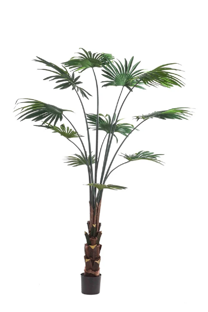 Faux Chinese Fan Plants - S (2) | Emerald Palm Livistona | Woodfurniture.com