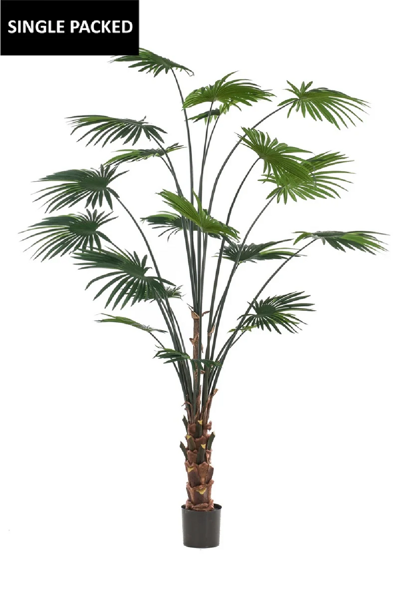 Faux Chinese Fan Plants - M (2) | Emerald Palm Livistona | Woodfurniture.com