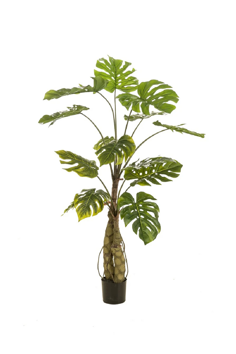 Split-Leaf Faux Plants (2) M | Emerald Monstera on Trunk | Woodfurniture.com