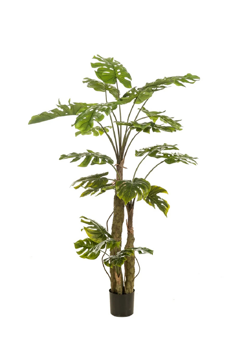 Split-Leaf Faux Plants (2) L | Emerald Monstera on Trunk | Woodfurniture.com