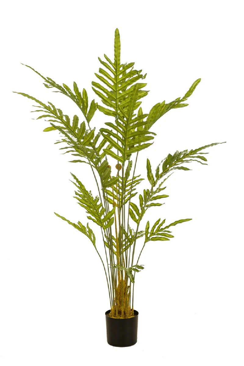 Potted Faux Frond Plants (2) | Emerald Fern | Woodfurniture.com