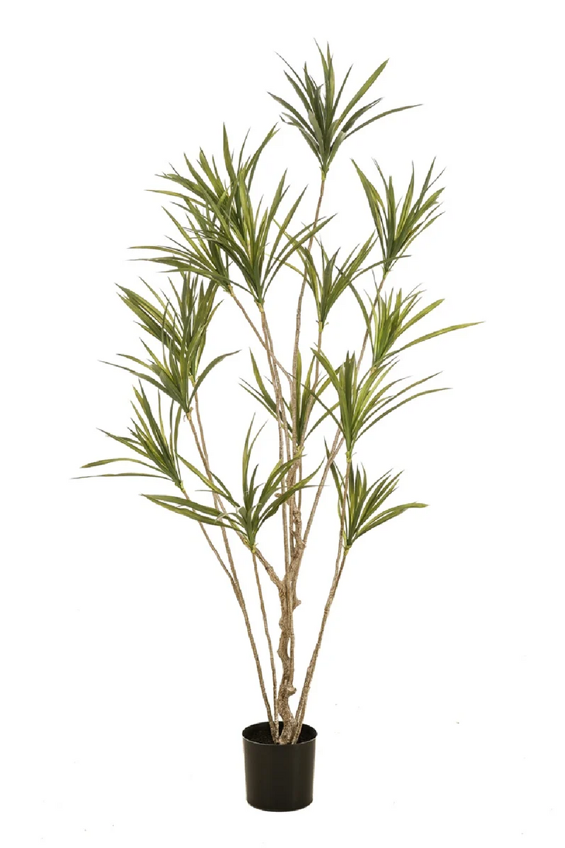 Multi-Stemmed Faux Plants - S (2) | Emerald Dracaena | Woodfurniture.com