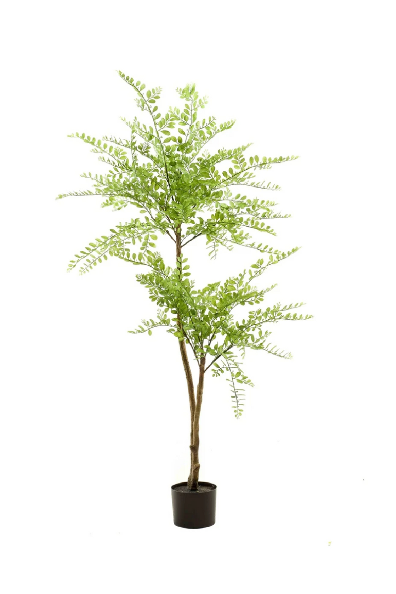 Fine Leaf Faux Trees (2) S | Emerald Sophora | Woodfurniture.com