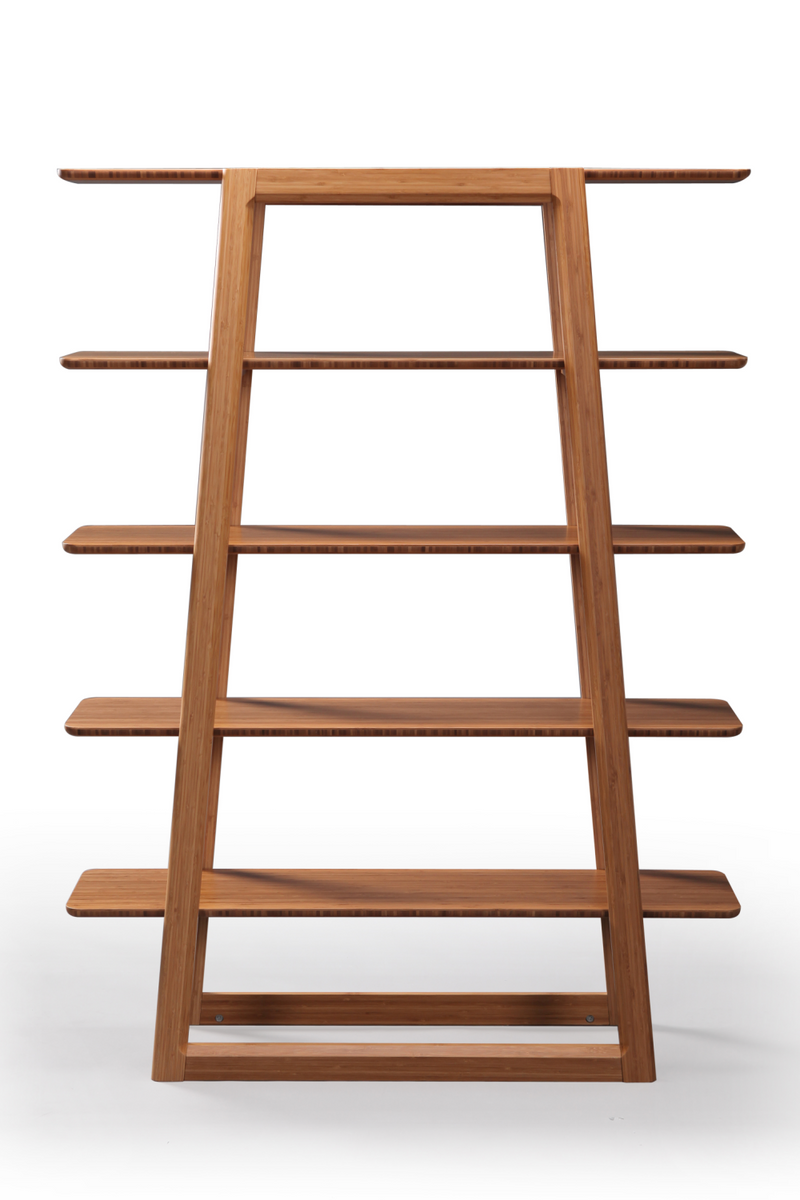 Bamboo Ladder Bookshelf | Greenington Currant | Woodfurniture.com