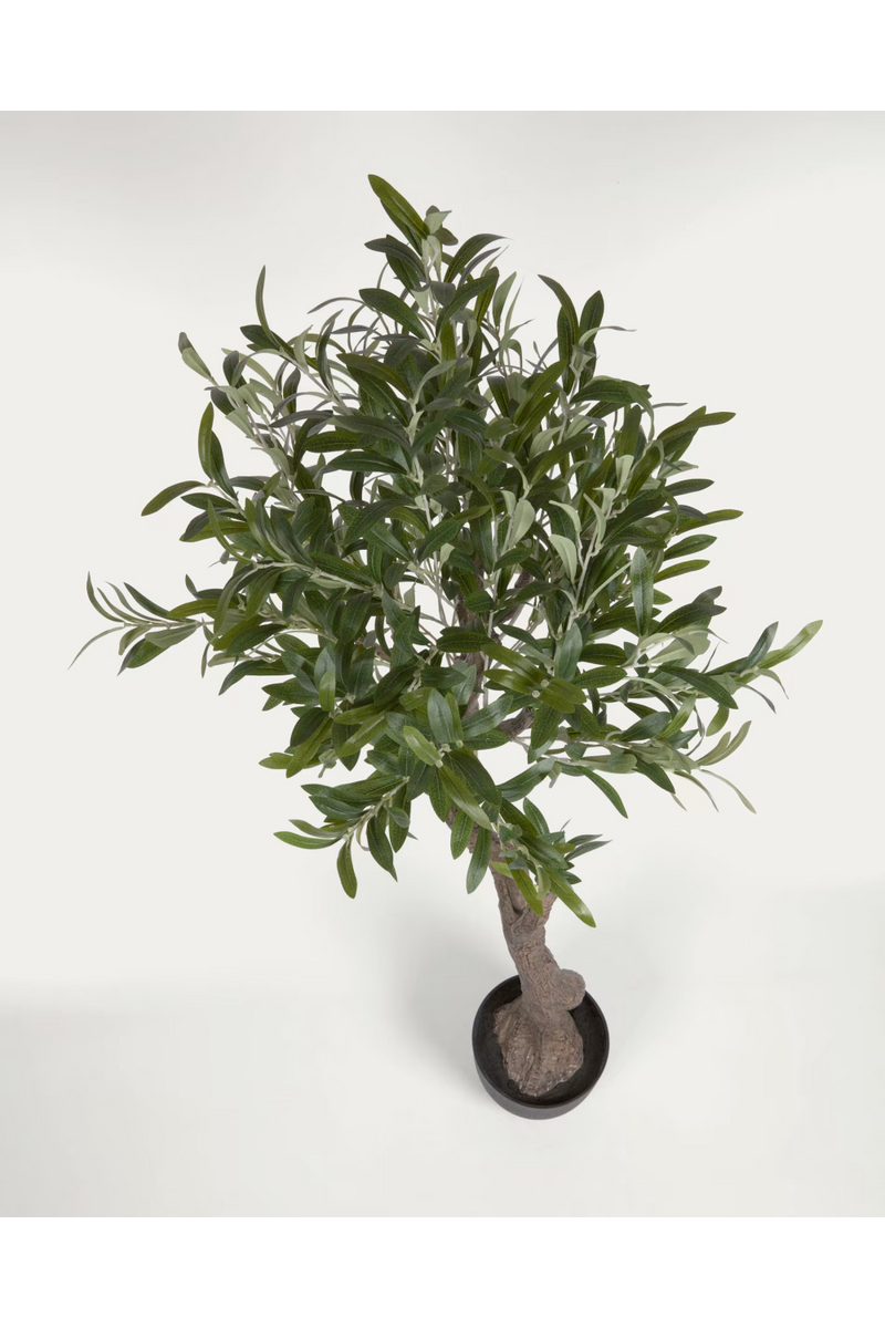 Black Potted Artificial Olive Trees Set (2) | La Forma Olivo | Woodfurniture.com