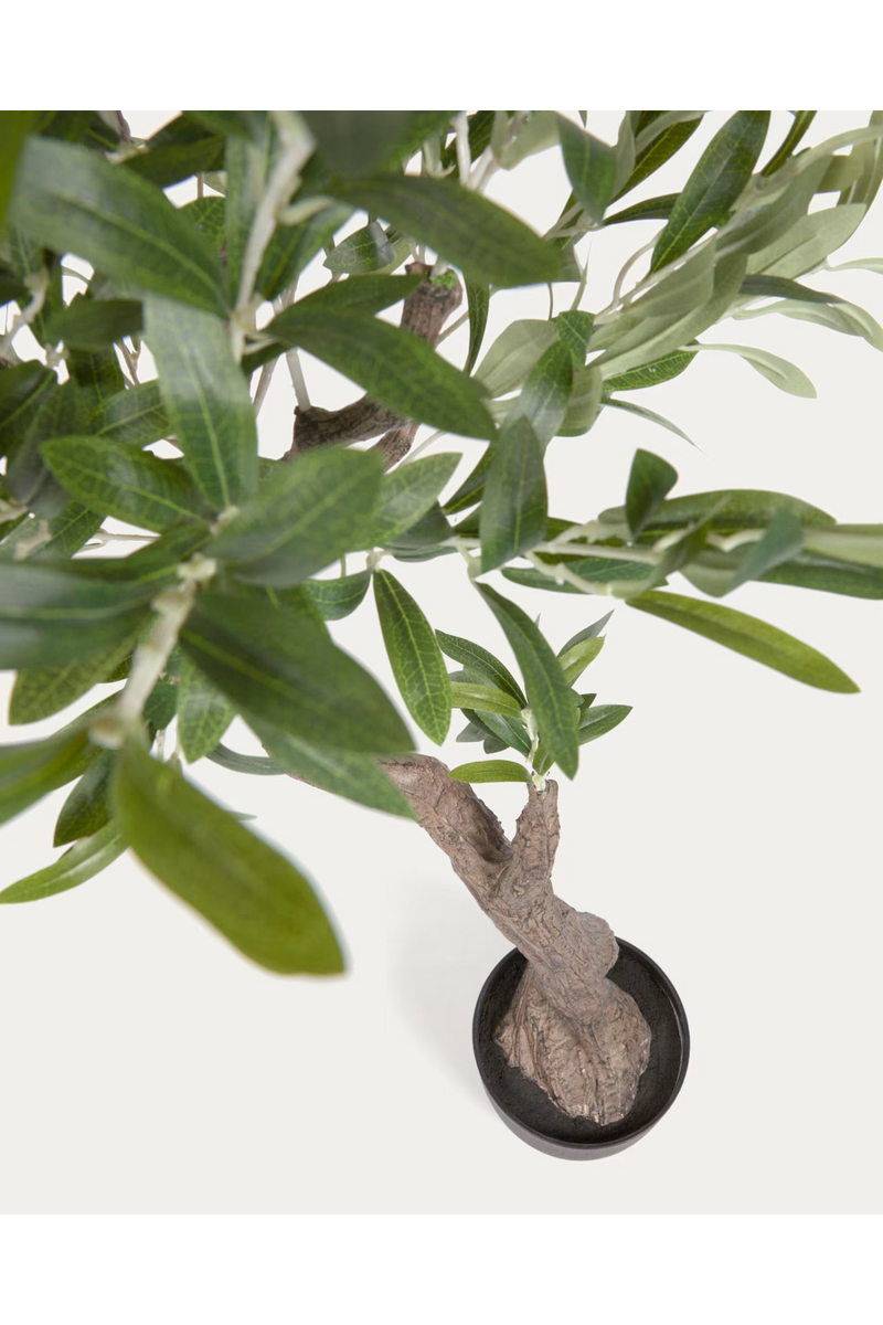 Black Potted Artificial Olive Trees Set (2) | La Forma Olivo | Woodfurniture.com