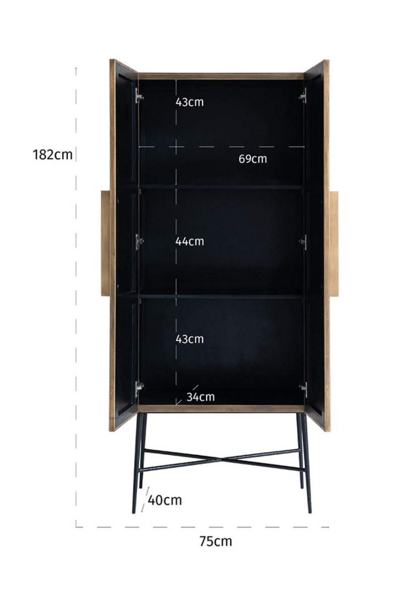 Brass 2-Door Modern Cabinet | OROA Ironville | Woodfurniture.com