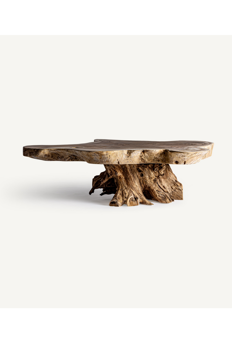 Natural Suar Wood Coffee Table | Vical Home Ahras | Woodfurniture.com