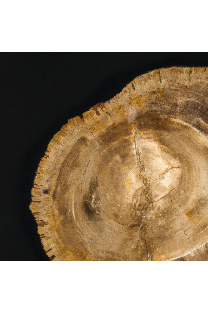 Petrified Wood Side Table | Eichholtz Villiers | Woodfurniture.com 