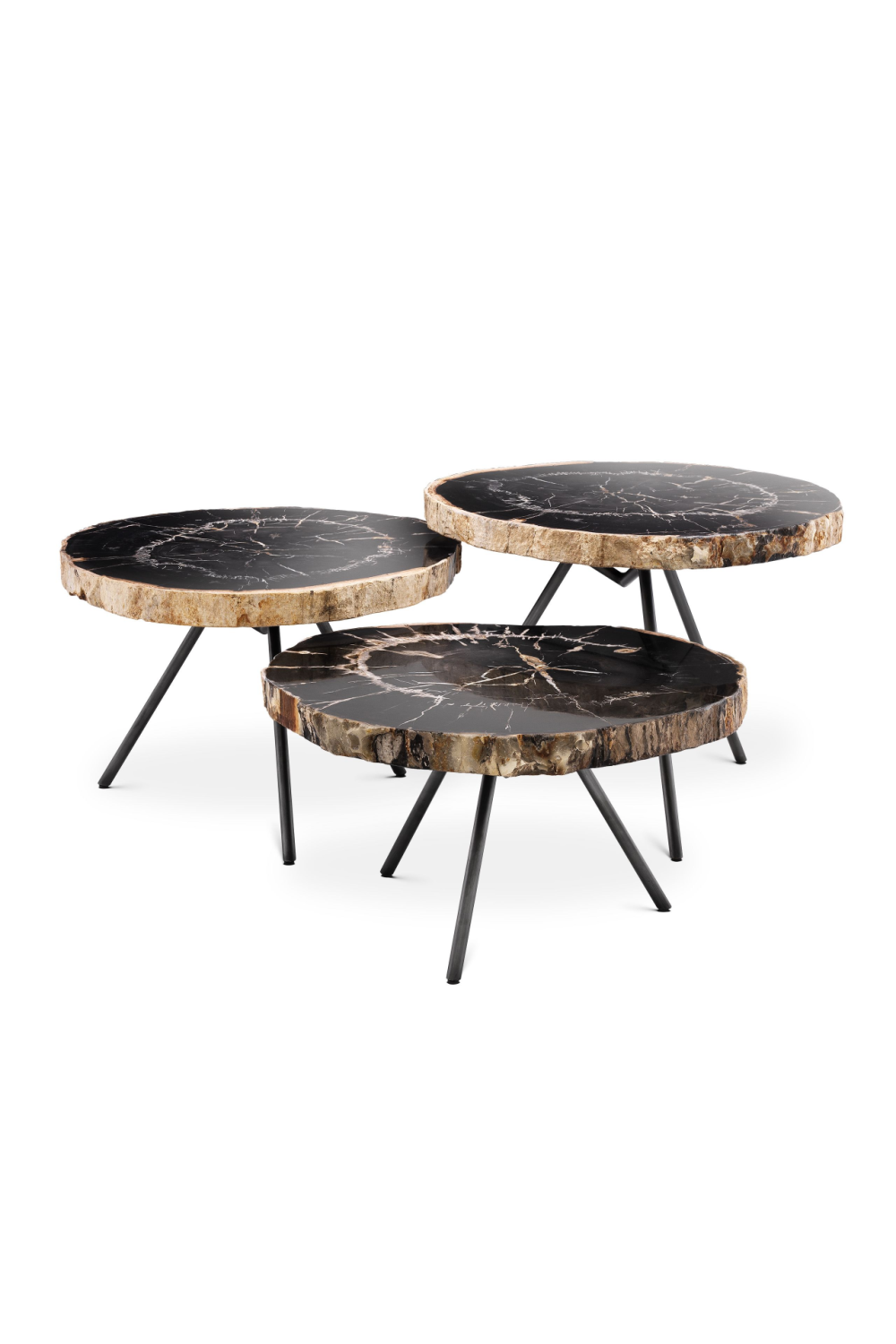 Petrified Wood Coffee Table Set | Eichholtz De Soto | Woodfurniture.com