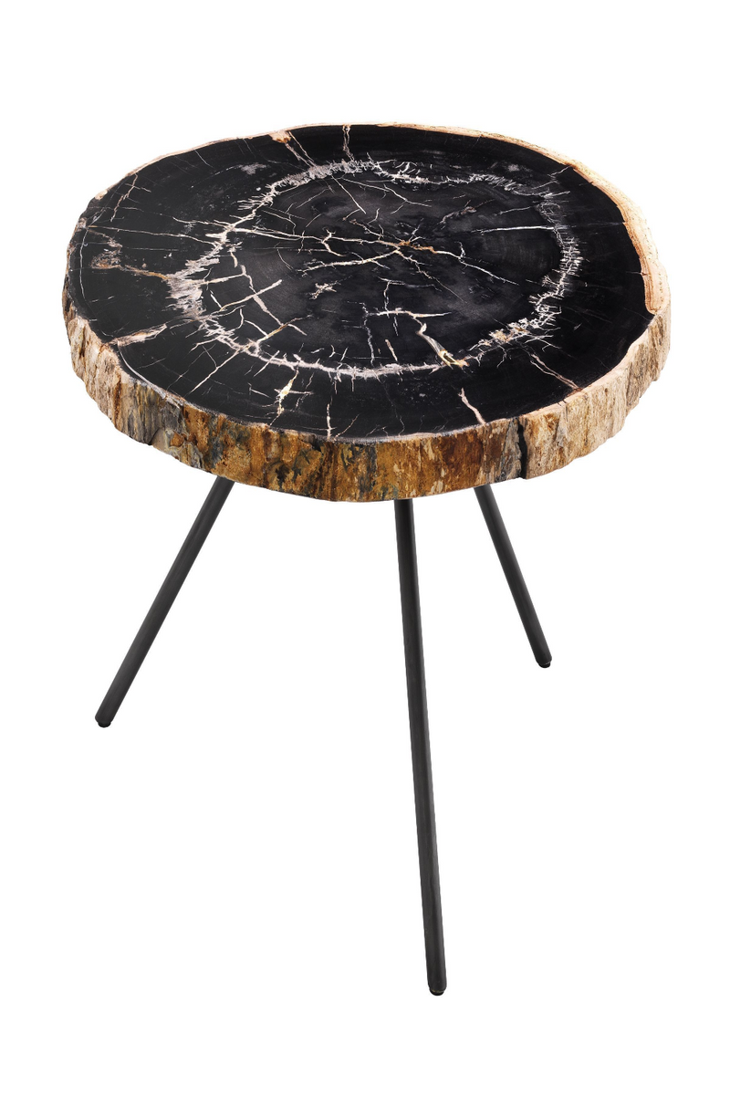 Petrified Wood Coffee Table Set | Eichholtz De Soto | Woodfurniture.com