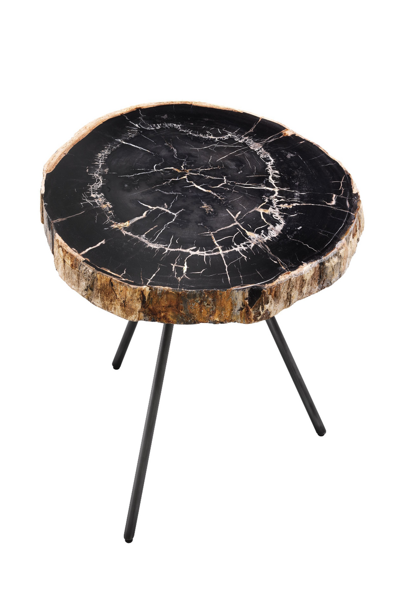 Petrified Wood Coffee Table Set | Eichholtz De Soto | Woodfurniture.com