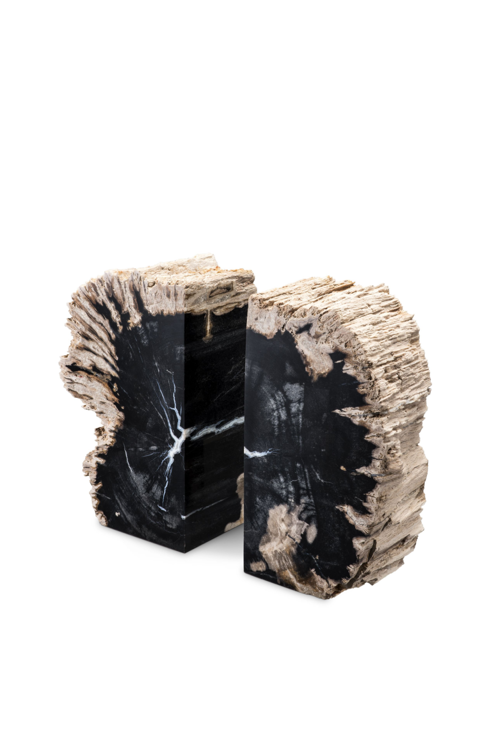 Petrified Wood Bookends | Eichholtz Opia | Woodfurniture.com