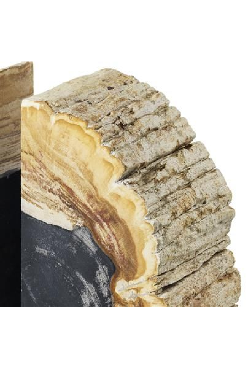 Petrified Wood Bookends | Eichholtz Opia | Woodfurniture.com