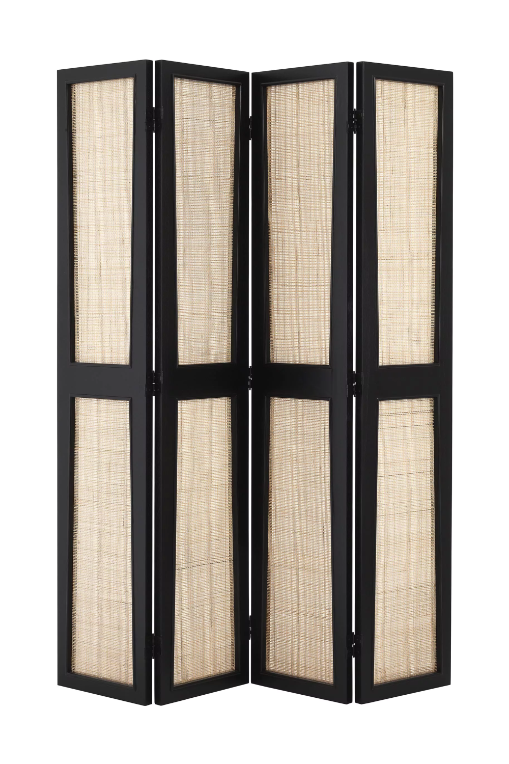 Black Rattan Cane Room Divider | Eichholtz Juliane | Woodfurniture.com