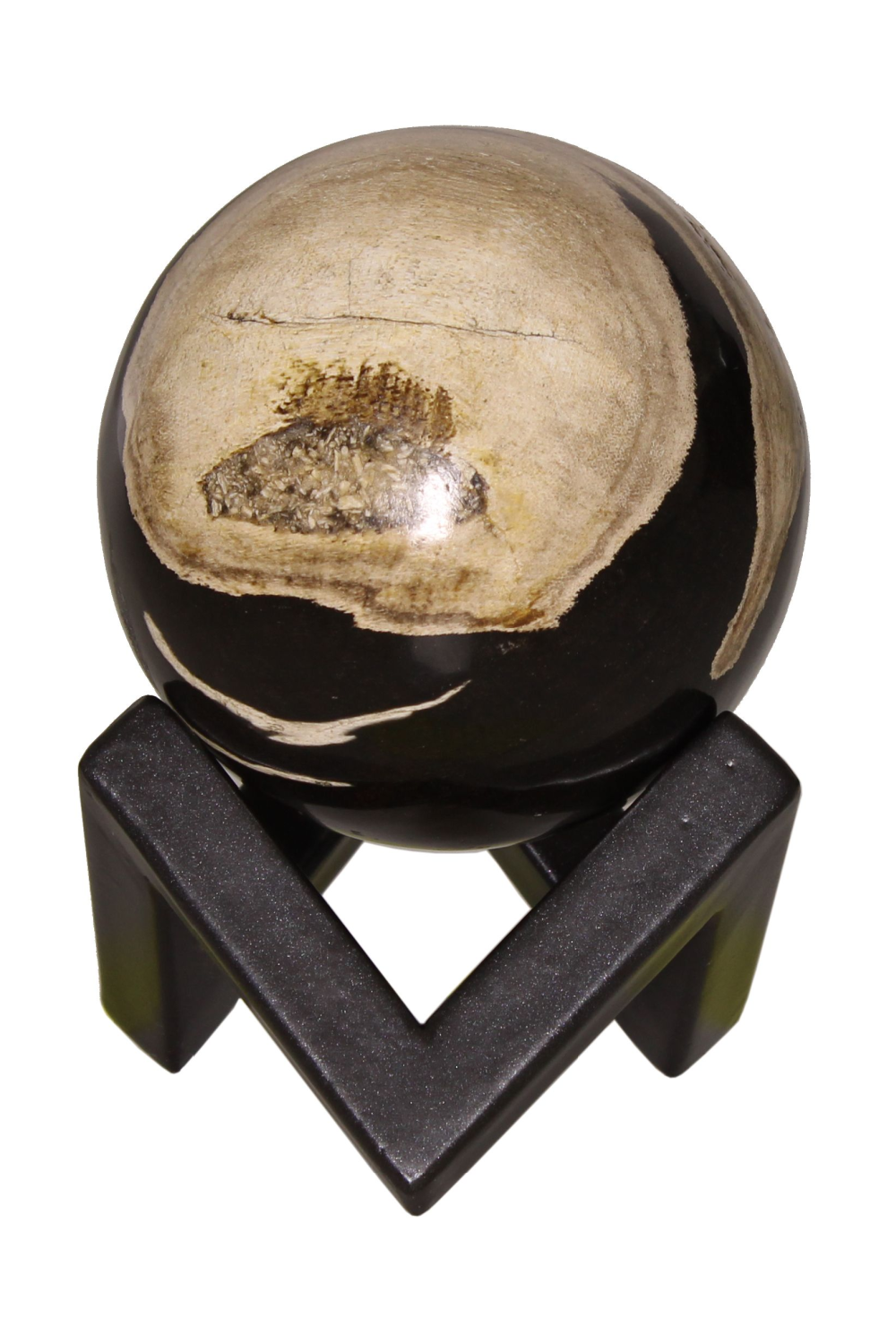 Petrified Wood Decorative Sphere | Andrew Martin | Woodfurniture.com