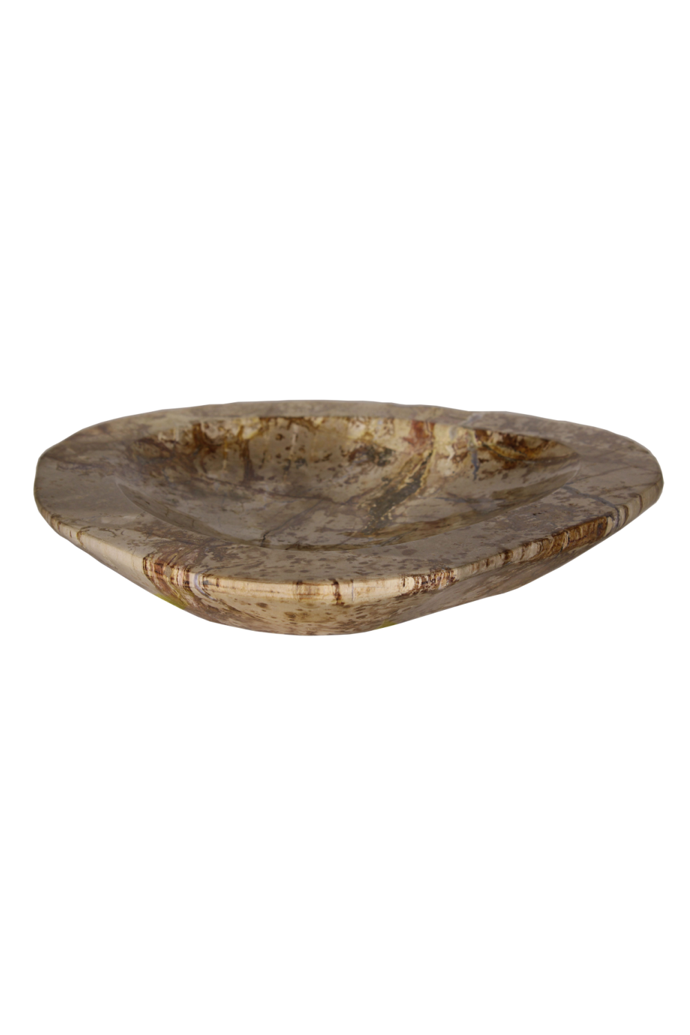 Natural Petrified Wood Tray | Andrew Martin | Woodfurniture.com