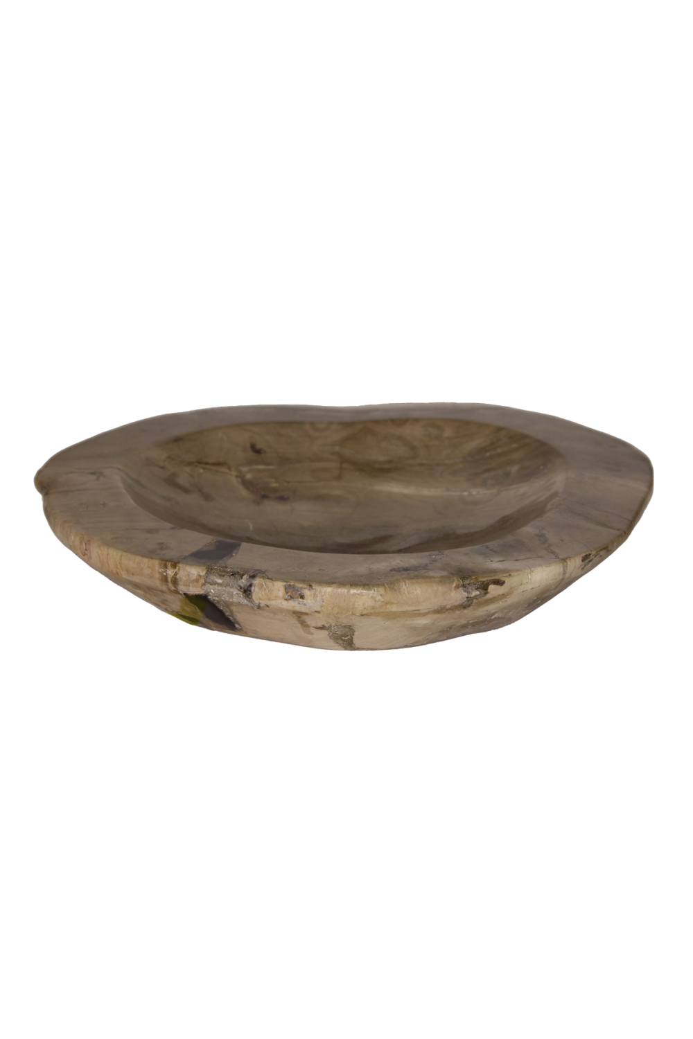 Natural Petrified Wood Tray | Andrew Martin | Woodfurniture.com