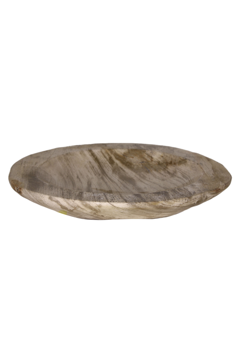 Natural Petrified Wood Tray | Andrew Martin | Woodfurniture.com