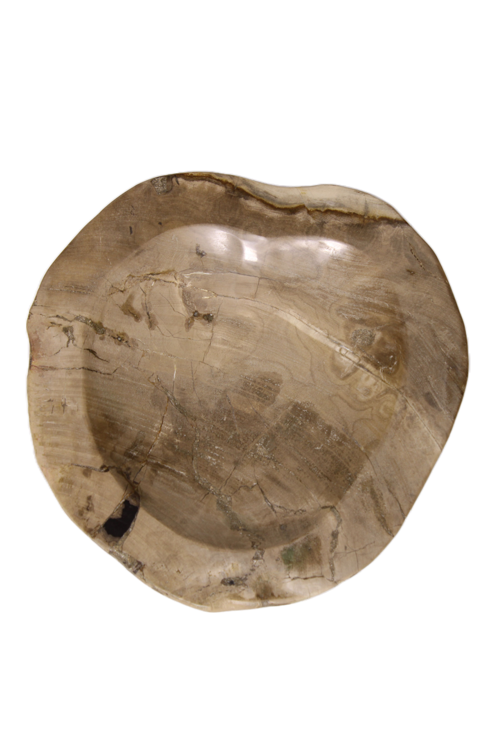 Natural Petrified Wood Tray | Andrew Martin | Woodfurniture.com