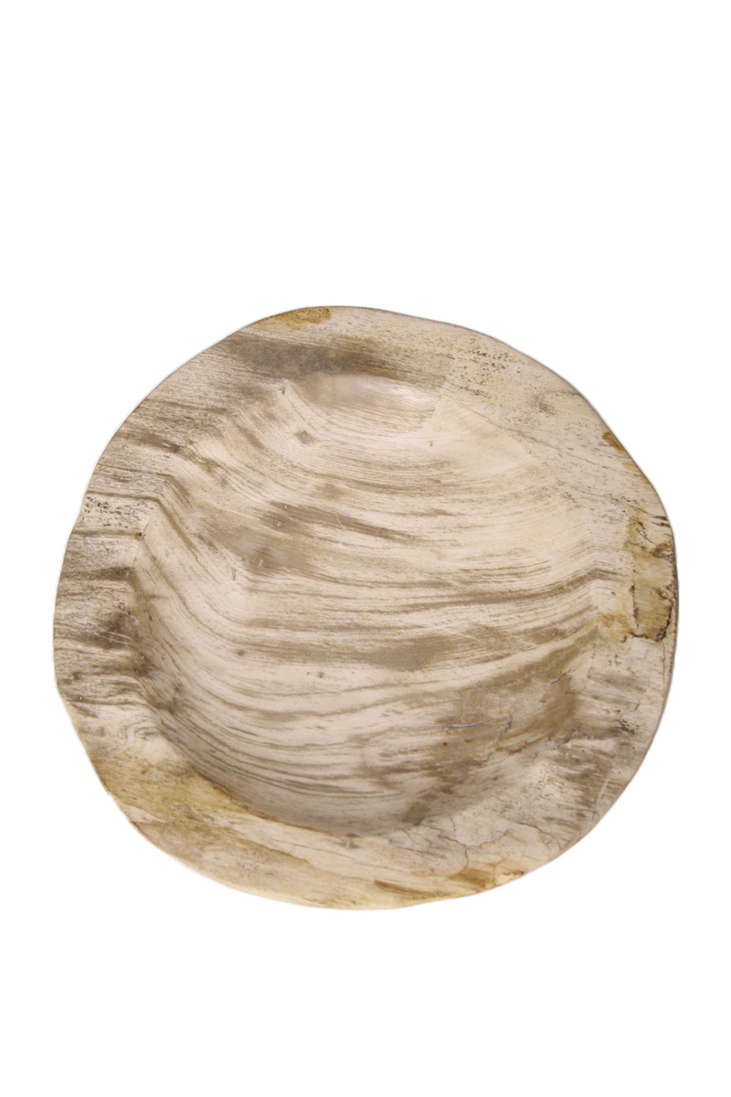 Natural Petrified Wood Tray | Andrew Martin | Woodfurniture.com