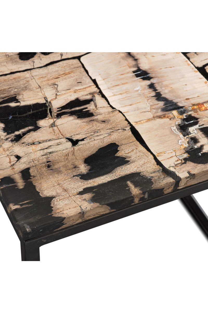 Rectangular Petrified Wood Coffee Table | Andrew Martin | Woodfurniture.com