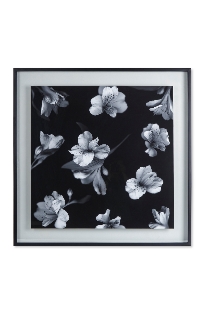 Contemporary Flower Photographic Artwork | Andrew Martin | Woodfurniture.com
