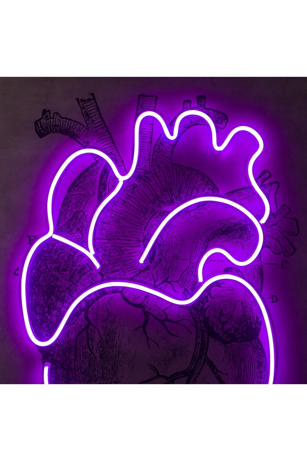 Violet LED Neon Artwork | Andrew Martin Heart | Woodfurniture.com