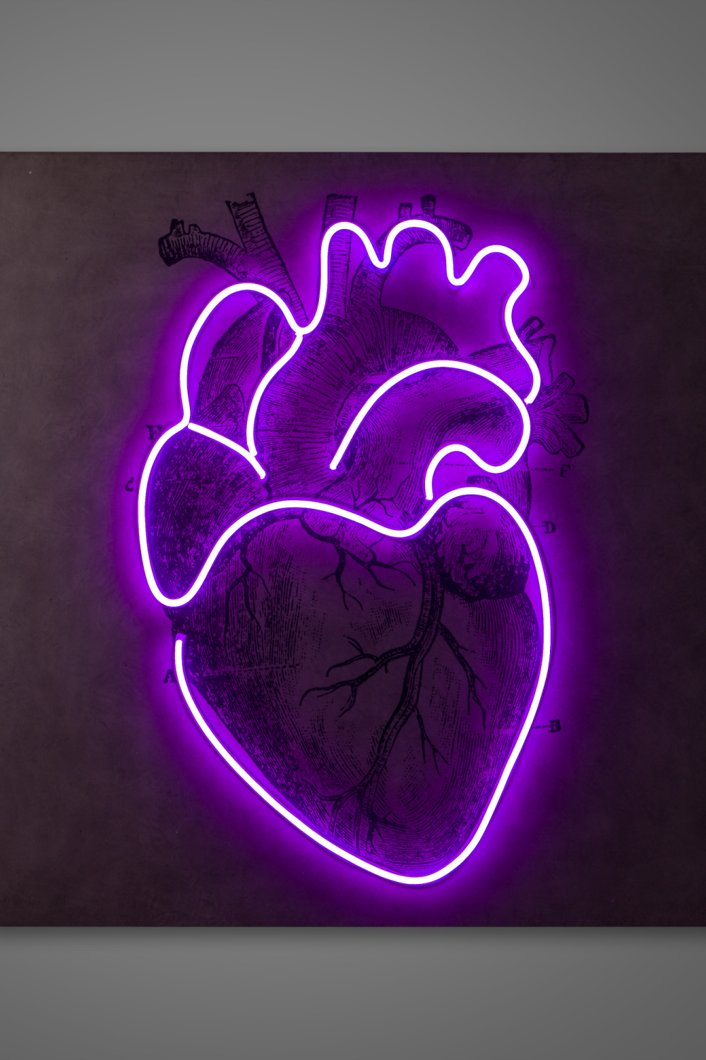 Violet LED Neon Artwork | Andrew Martin Heart | Woodfurniture.com