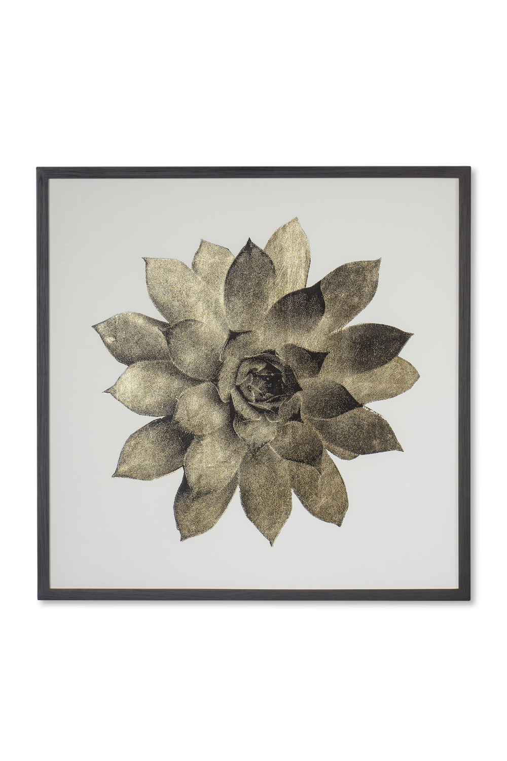 Contemporary Nature Wall Art | Andrew Martin Gold Succulent | Woodfurniture.com