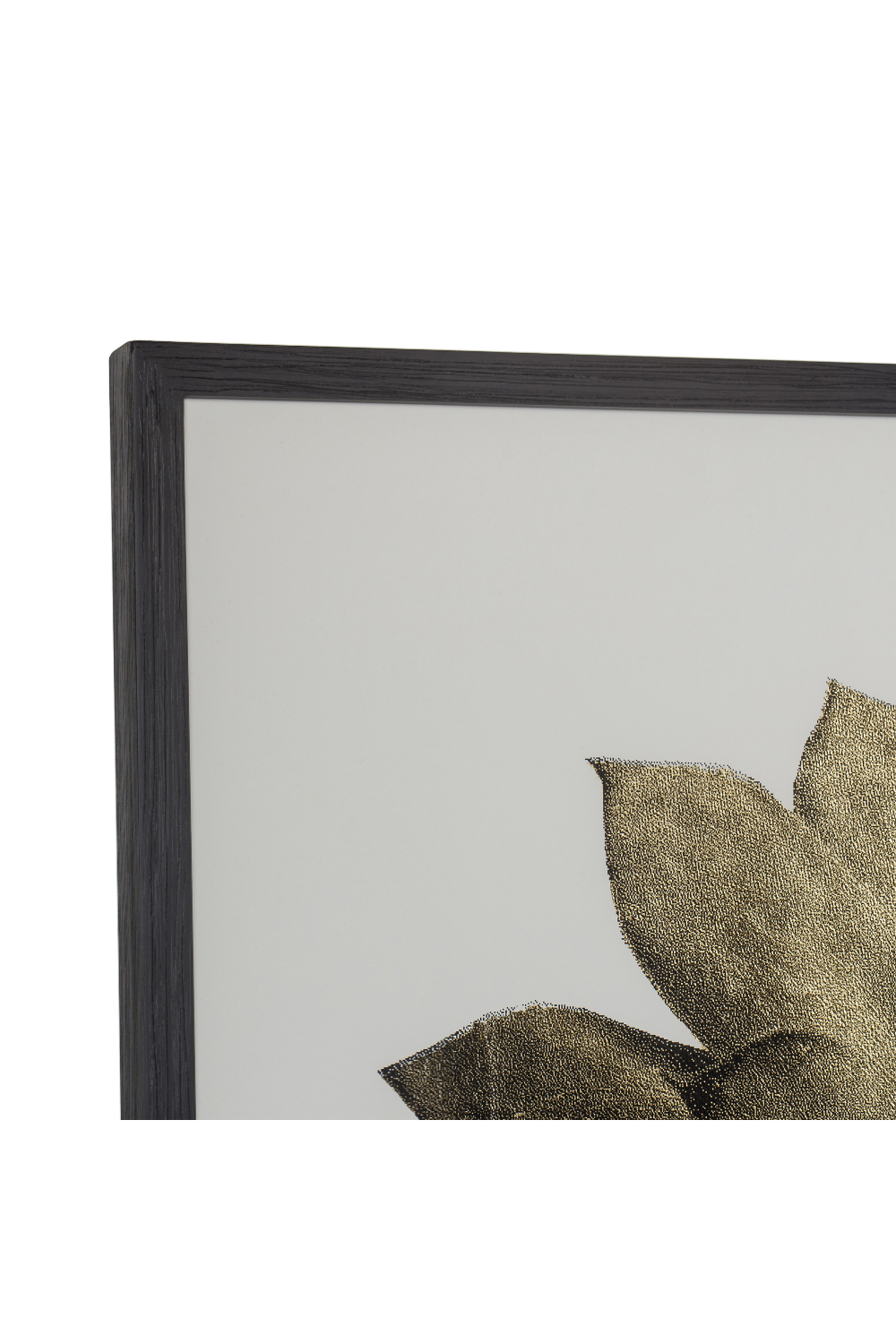 Contemporary Nature Wall Art | Andrew Martin Gold Succulent | Woodfurniture.com